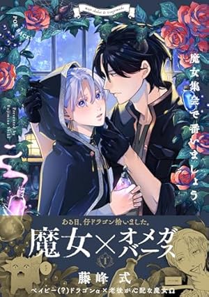 藤峰式　22冊 + 小冊子3冊 不可測サニー 小冊子付き初回限定版 (picn comics) | 藤峰式 |本